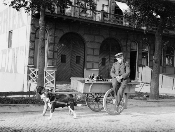 1904 Dog Cart, Netherlands Google image from http://www.time-capsules.co.uk/picture/number250.asp