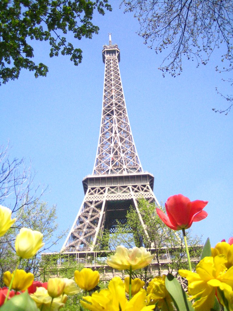 Springtime in Paris Google image from http://static.panoramio.com/photos/large/4448564.jpg