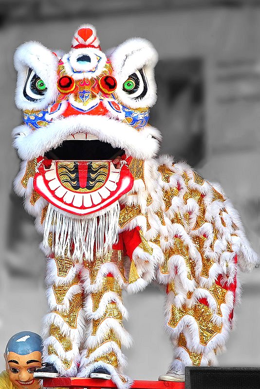 Chinese Lion Dance Google image from http://chinablog.cc/wp-content/gallery/art/dragon_lion_dance/lion_dance_2.jpg