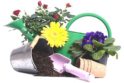 Gardening Google image from http://www.gardening-tools.us/gardening-equipment-408.jpg