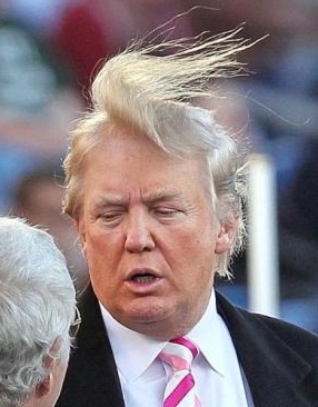Donald Trump toupee from http://www.hoaxorfact.com/Celebrities/donald-trump-with-no-wig-or-makeup-photograph-hoax.html