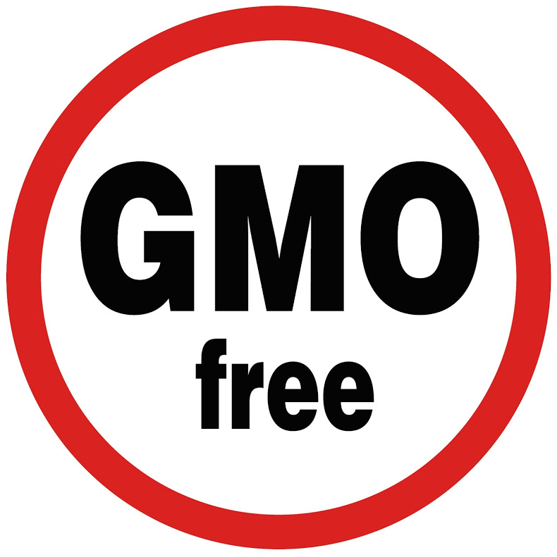 GMO FREE Google image from http://gefreebc.files.wordpress.com/2013/06/gmo_free.jpg