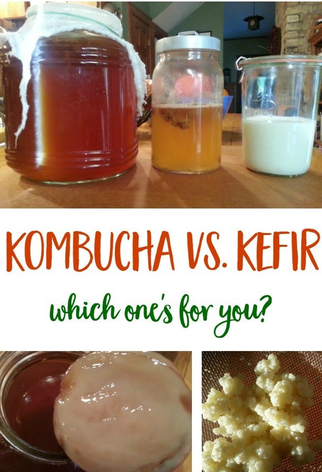 Fermented Beverage Smackdown: Kombucha vs. Kefir Google image from https://mindfulmomma.com/fermented-beverage-smackdown-kombucha-vs-kefir/