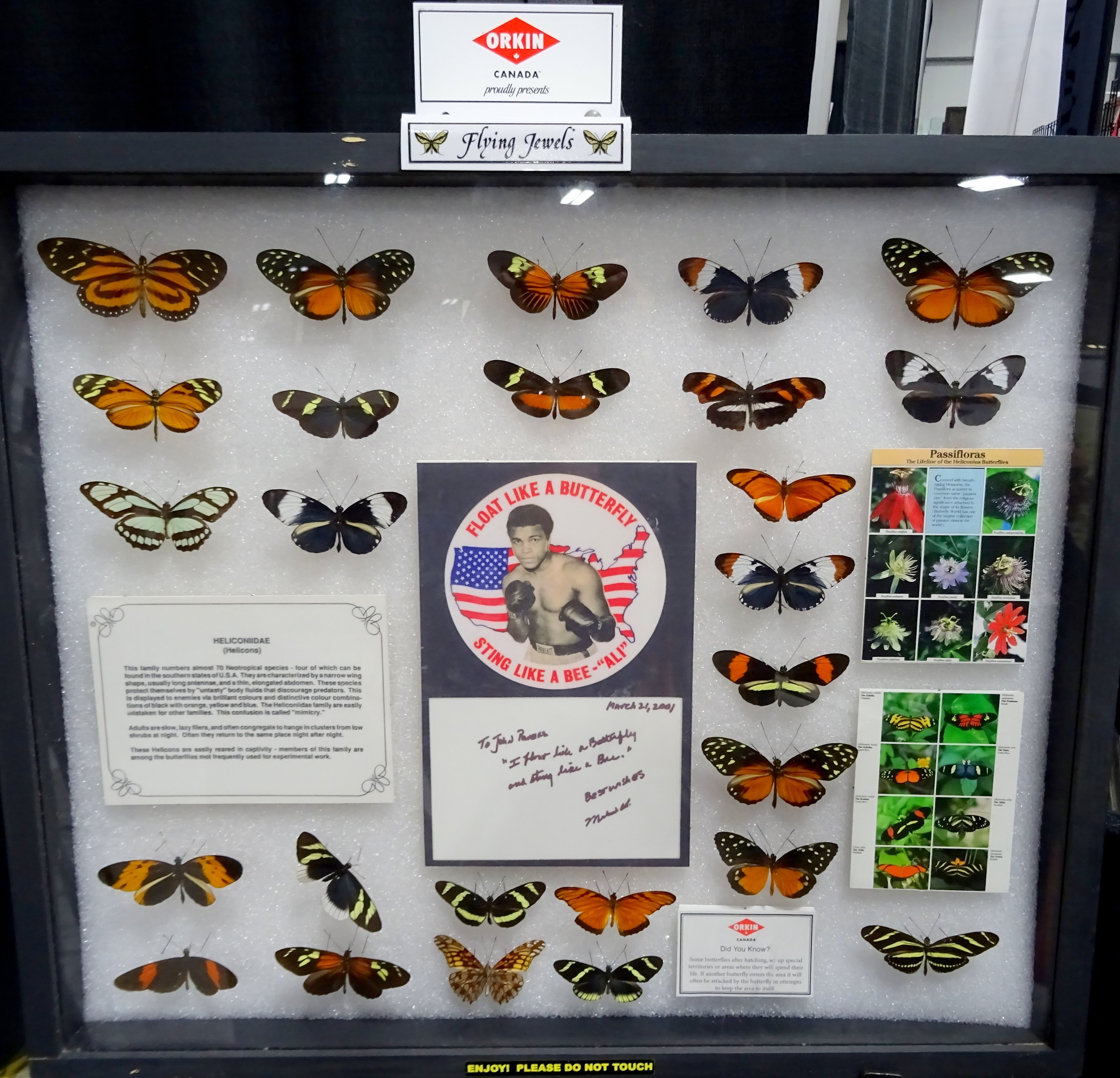 MuhammadAli quote at Butterfly Display by Orkin Canada, 15-17 April 2016