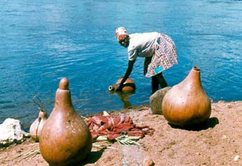 Gathering water at the edge of the Nile