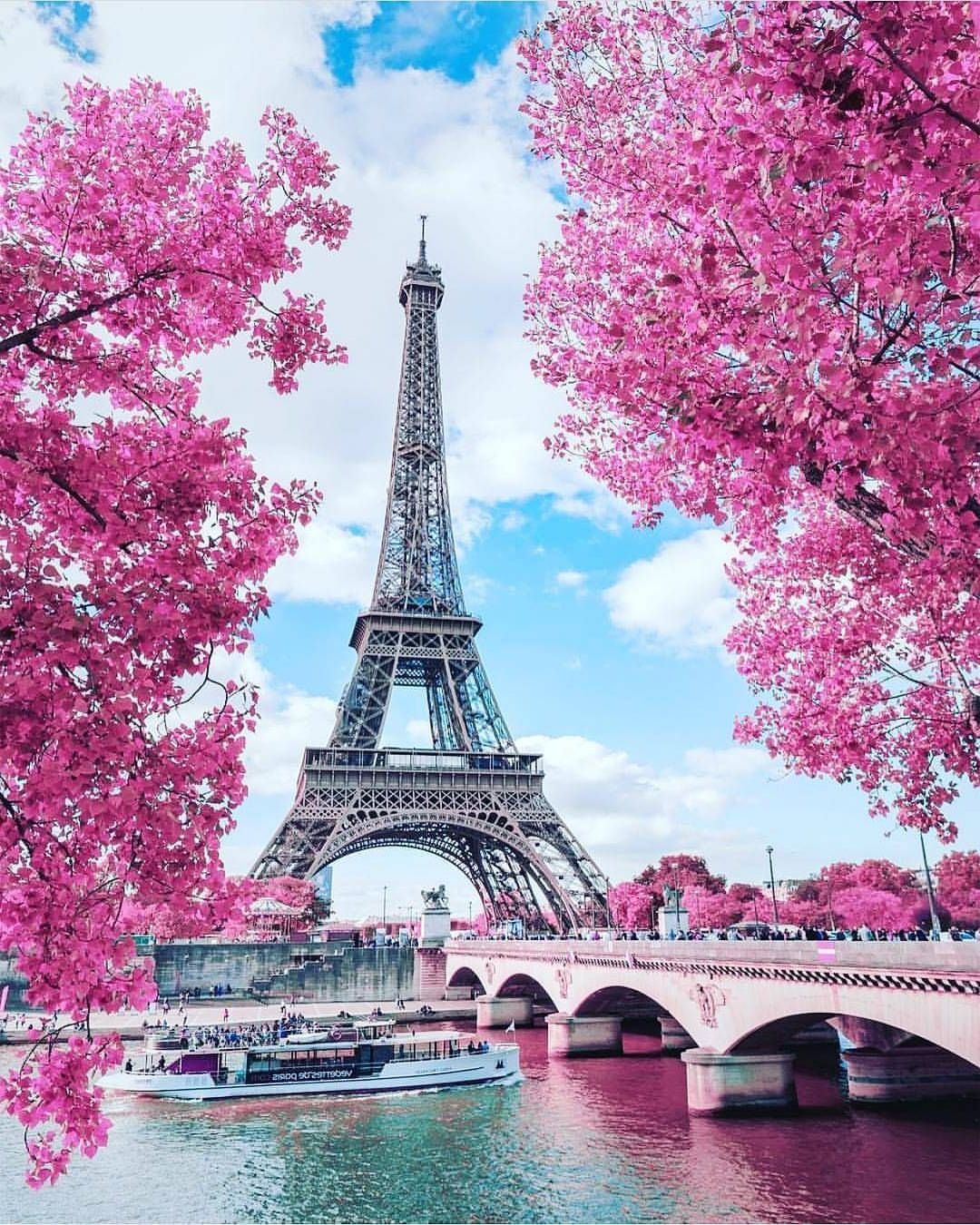 Springtime in Paris image source: Pinterest