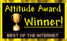 Attitude Award Winner