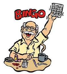 Bingo Google image from http://www.tigergamingbingo.com/wp-content/uploads/2011/01/Fun-with-bingo.jpg