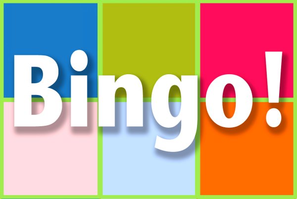Bingo Google image http://www.pullen.org/wp-content/uploads/2013/07/bingo-graphic.jpg