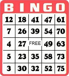 Bingo Google image from http://2.bp.blogspot.com/_xpCs3FgK308/SUFGe_sfDCI/AAAAAAAABI0/NA6jIKKKxkk/s320/bingo-birthday-month.gif