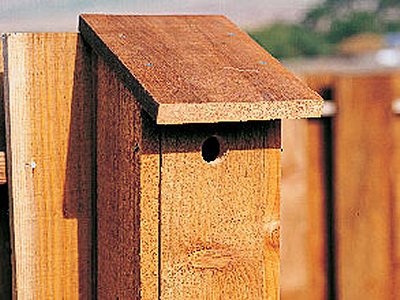 Build a Better Bird House Google image from http://www.sunset.com/garden/backyard-projects/build-a-better-birdhouse