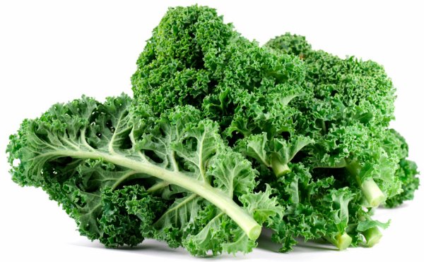 Boerenkool or Kale Google image from http://ecobioliving.eu/gezonde-voeding/supergezonde-groenten/boerenkool/