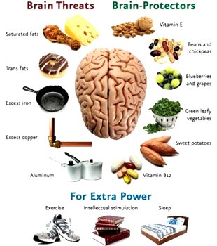 Brain Threats Brain Protectors Google image from http://www.examiner.com/article/dr-oz-and-neal-barnard-prevent-and-reverse-alzheimer-s-with-brain-foods