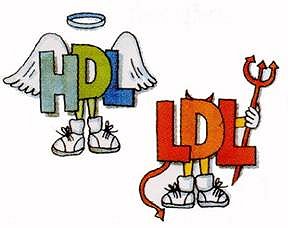 Good and bad cholesterol HDL LDL Google image from http://www.phillips-fit.co.uk/pfiles/images/HDL%20LDL.jpg