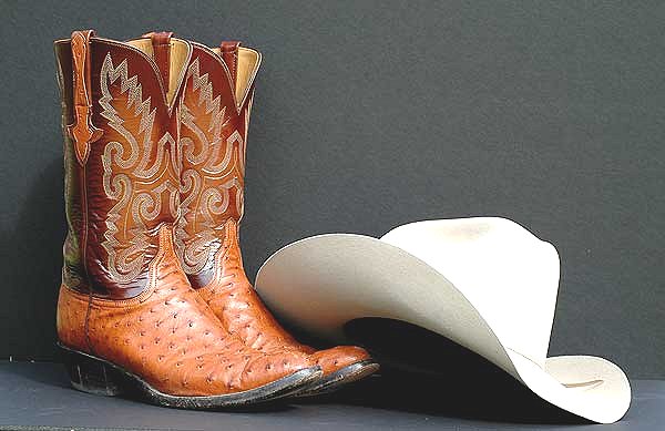 Country Hoedown Cowboy Boots and Hat Google image from http://1.bp.blogspot.com/-TCjYP-WhQv8/TZvPN2BsA2I/AAAAAAAAFSY/1VJ8OYknoi8/s1600/ss-823177-cowboyBootsAndHat.jpg