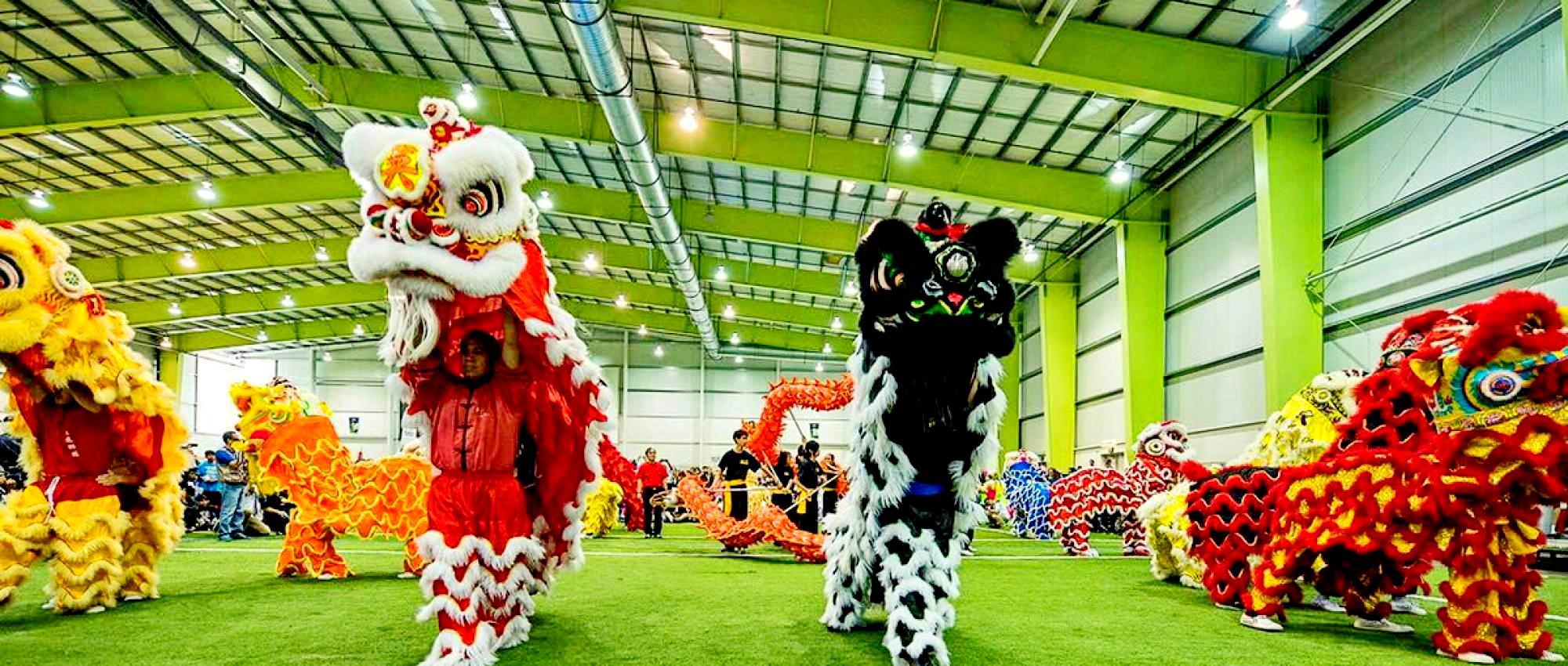 
 Google image from https://culture.mississauga.ca/event/celebration-square/dragon-lion-dance-festival