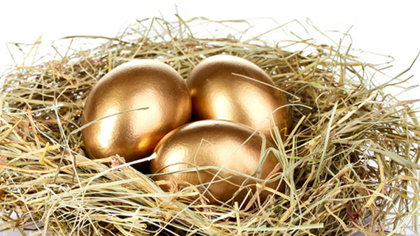 Golden eggs nest Google image from http://www.lifestylefstas.com.au/wp-content/uploads/2015/04/RECURRING-GOLDEN-EGGS-Lifestyle-Financial-Services-website.jpg