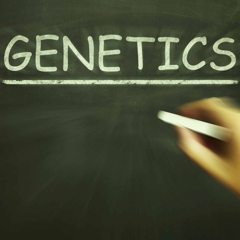 Genetics image from http://goodnessme.ca/the-future-of-medicine-is-here-1-1