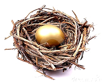 Golden Nest Egg Google image from http://thumbs.dreamstime.com/thumblarge_113/1168971505Ua7oxb.jpg