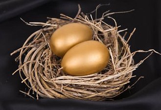Estate Planning Golden Nest Eggs Google image from http://www.estateplanningsocal.com/images/text/planning-estate-attorney.jpg
