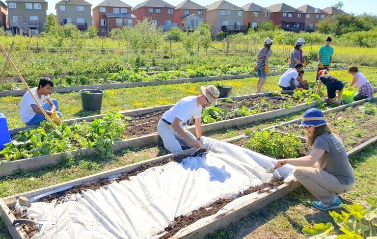 Growing for Our Good Google image from http://ecosource.ca/getgrowing/growing-for-our-good/
