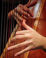 Harpist Hands Google image from http://farm4.static.flickr.com/3514/3239087070_2055daa793_m.jpg