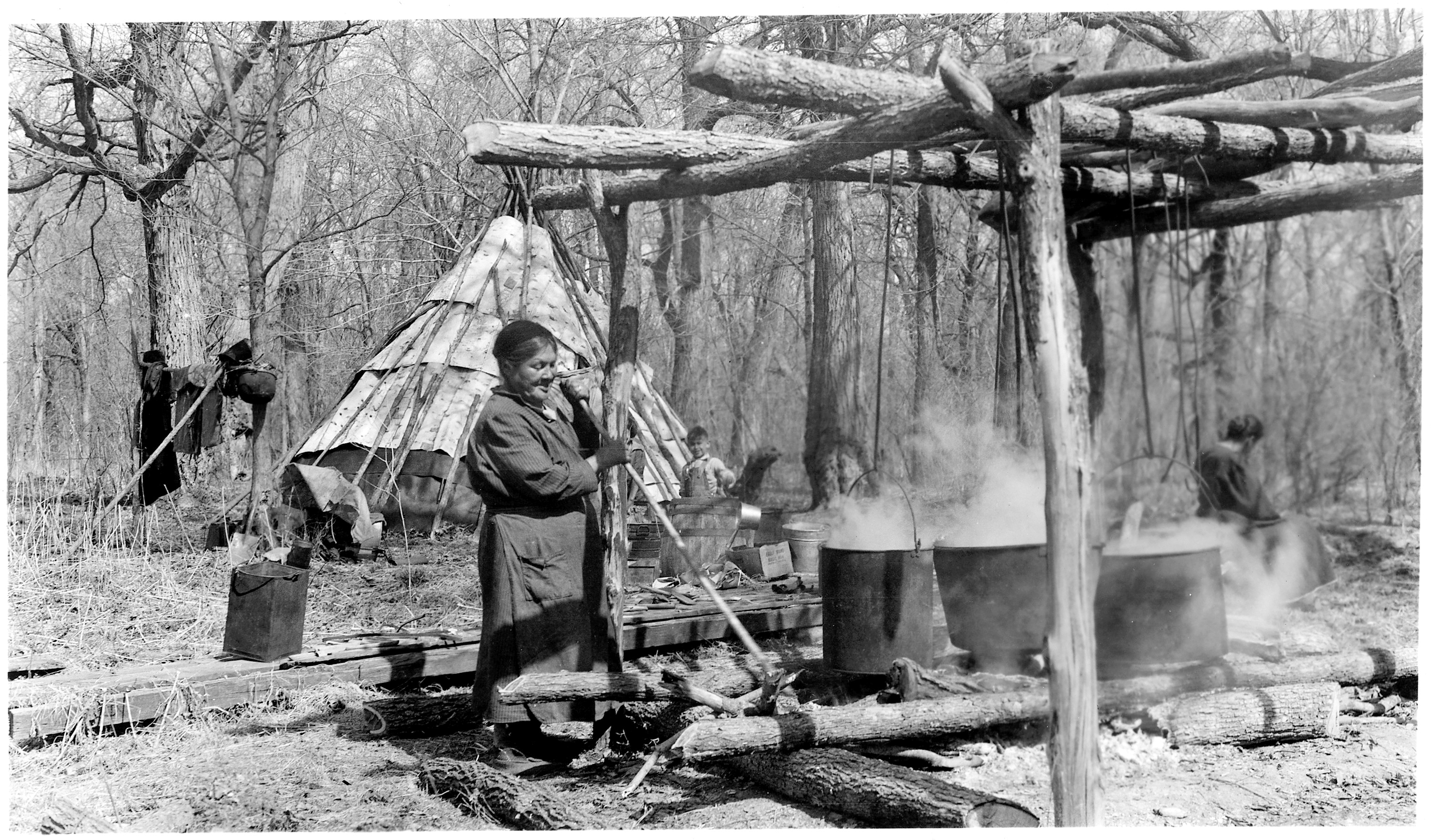 maplesugarindustrywildfoodism.jpg Google image from https://wildfoodism.com/2014/03/05/nutritional-differences-between-maple-syrup-grades-which-is-best/