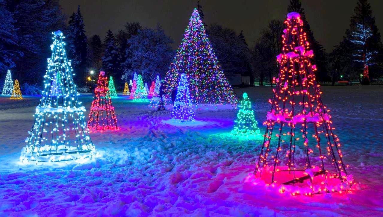 Niagara Festival of Lights Google image from https://niagara.ca/winter-festival-lights-niagara-falls-2014/