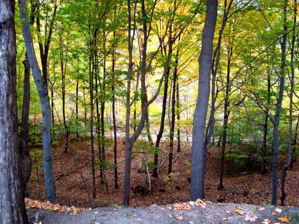 Palisades on the Glen, photo by I Lee, 13 Oct. 2010