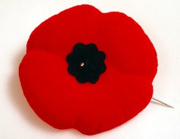Poppy Pin Google image from http://rcl171.ca/events/poppy-campaign/