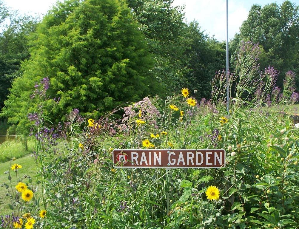 Rain Garden Google image from http://www.co.monroe.in.us/tsd/Portals/0/Images/Garage_Rain_Garden_In_Bloom.jpg