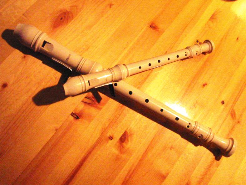 The Recorder Google image from http://www.markholdaway.com/instruments/recorder2.jpg