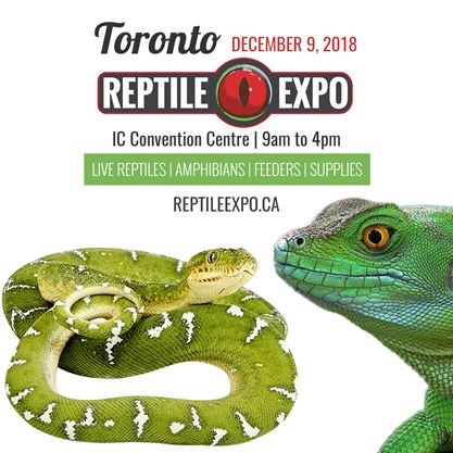 Toronto Reptile Expo Google image from reptileexpo.ca