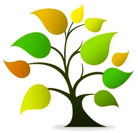 Tree of Life Google image from http://leadershipcouples.com/wp-content/uploads/2013/05/Tree-of-Life-300x300.jpg
