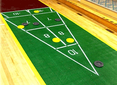 Shuffleboard Google image from http://www.shuffleboard-1.com/Portals/0/ARS-PolyCourtIndoor2.gif