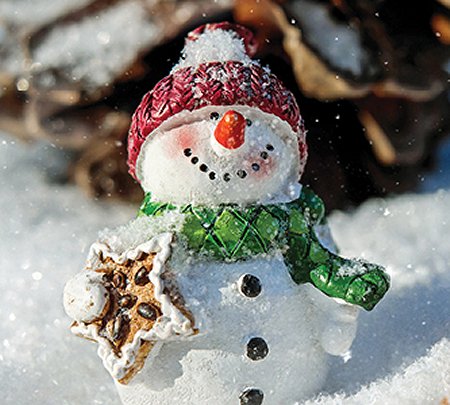 Snowman image from VIVA Mississauga email mississauga@vivalife.ca 27 Dec 2019