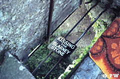 Kiss the Blarney Stone2 from Google image