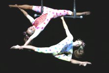 Cirque Dreams Illumination from Google image