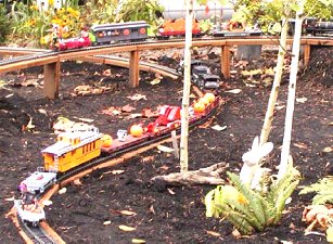 Garden Railway Google image from http://www.quinnmountain.com/images/trainwestloop.jpg