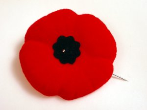 Remembrance Day Google image from http://www.canadiandesignresource.ca/officialgallery/wp-content/uploads/2006/04/IMGP1945.jpg
