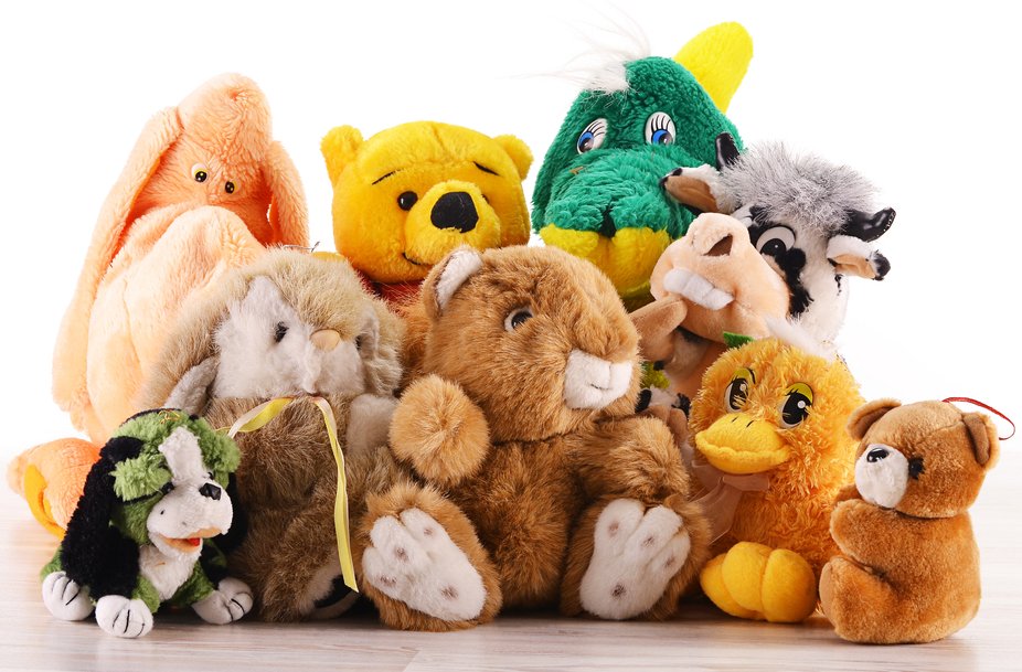 Stuffed Animals Google image from http://blog.campcraze.com/wp-content/uploads/2011/01/stuffedanimals_campblog.jpg