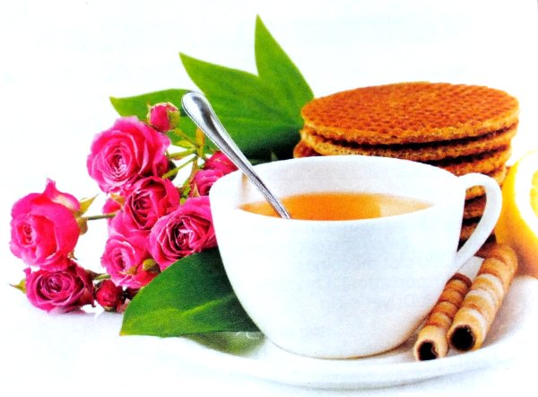 Tea Time image from Diversicare, Evergreen Retirement Community ad in ForEverYoungNews.com FYI GTA June 2013, p. 28