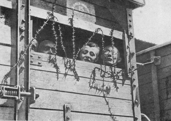 Dutch Jews put on trains with barb wires in the Netherlands circa 1942 Google image from http://www.gramschap.nl/rbweb/rbtrein.jpg