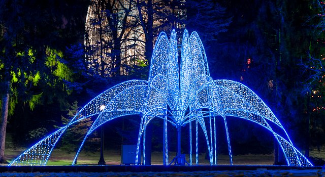 Festival of Lights Niagara Parks Winter Wonderland Google image from http://thevicarioustraveler.com/wp-content/uploads/2012/01/RFP4402_3_4_5_6_7_tonemapped.jpg