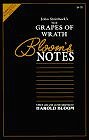 John Steinbeck's the Grapes of Wrath (Bloom's Notes Series) by Harold Bloom (Paperback - Jan 1996)